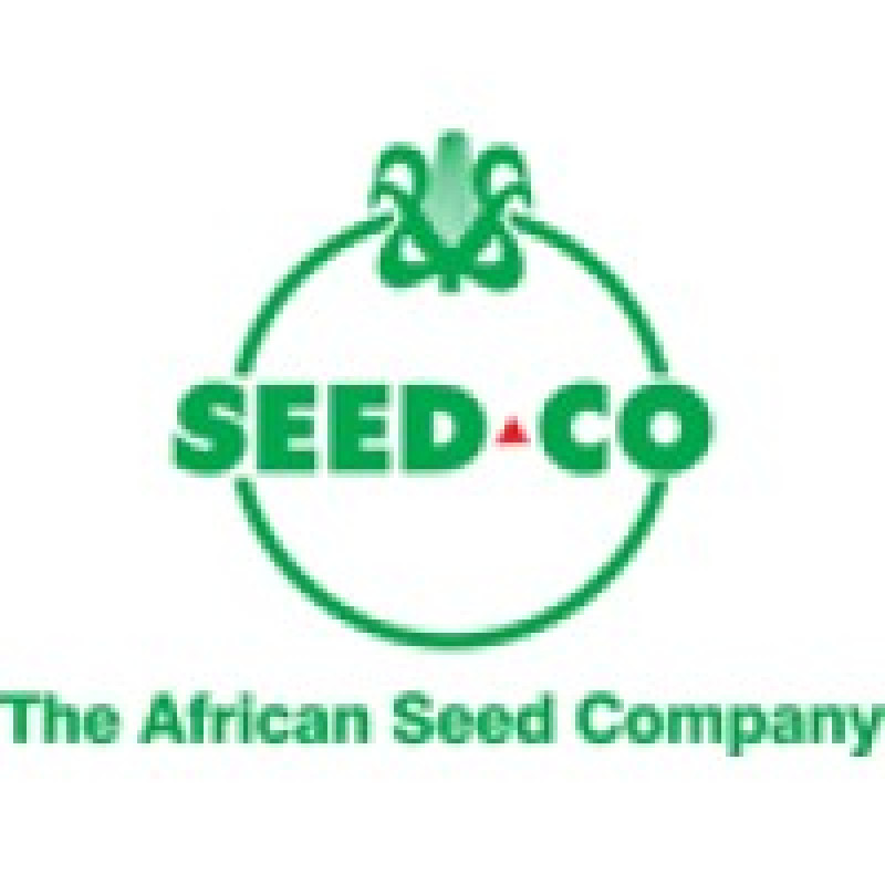 SEED.CO GROUP